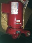 168033 Bell Gossett Series 1535 356t