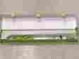 Asp-maxls-115 Ez Trap Aspen Maxi Lime