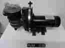 P2rase-181l Century Sta-rite Centrifugal 1 Hp Pump With Trap Pum1238