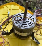 Goodman S81-570 0131F00042SP Y7L623C24 Blower Motor 0131F00021 1/3HP 115V. Fixed Price $125.00.