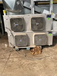 Bohn Evaporator #BMA245MA 24,500 Btu Used Unit Air Defrost. Fixed Price $1363.61.