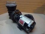 Teel Pool/spa Pump 4RJ91 Used #38519. Fixed Price $247.50.