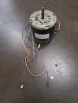 Lennox 100483-34 YSLB-220-8-B001 Condenser Fan Motor 1/4 Hp *flaking Paint*. Fixed Price $97.00.