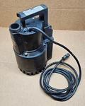 Abs ROBUSTA-200W/TS Drainage Pump. Fixed Price $119.00.