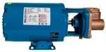 Brand New - Burks Pump Model 3CT5M 1/3HP 1PHASE 115/230V Ships Free!. Fixed Price $1499.99.