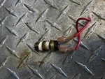 Heatmaker 2400-056 Operating Control, Teledyne Laars. Same Day Shipping. Fixed Price $59.00.