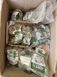 Taco 110-252F Circulator Freedom Flange. Fixed Price $25.00.