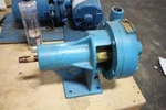 New Pacific Pumping 1110705333200 14GPM 50FT. Fixed Price $249.99.